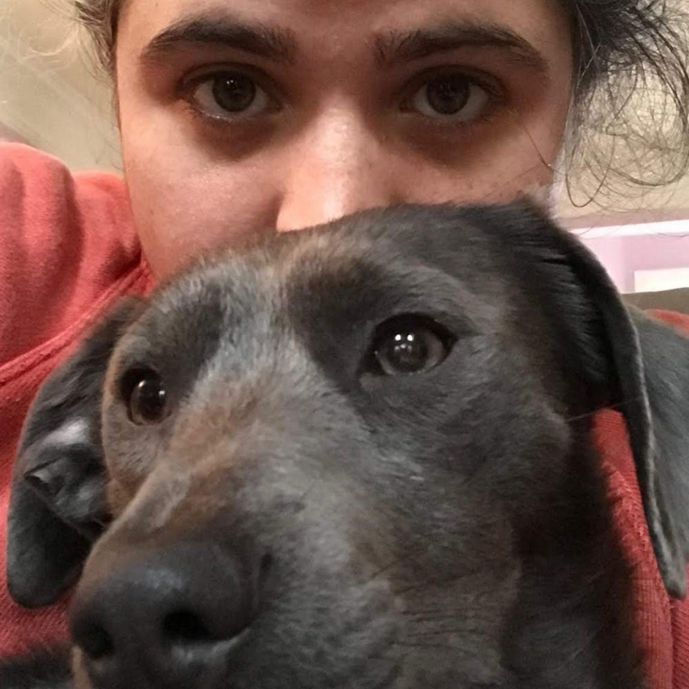 Meet your Posher, Sam